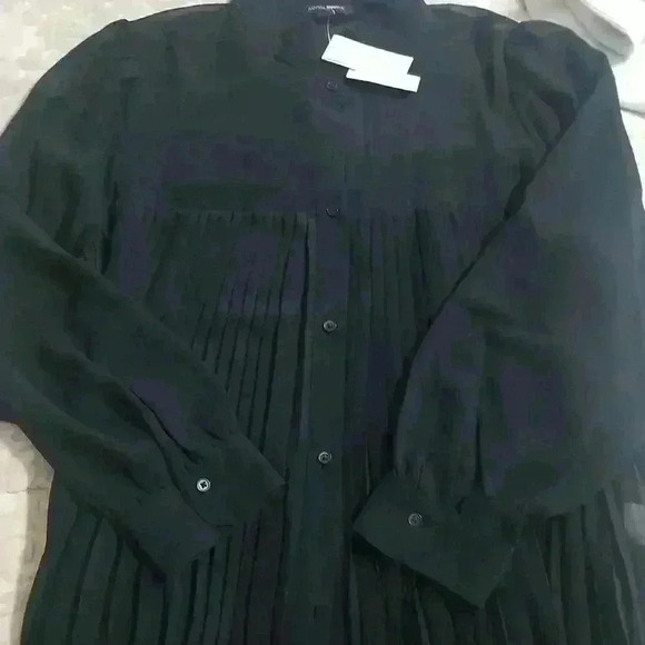 Banana Republic Chiffon Pleated Blouse - Picture 12 of 12